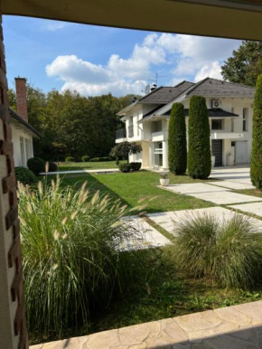 Jovanova villa